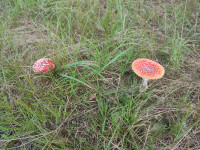 IMG_20250912_124329.jpg