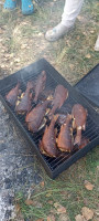 IMG-20250914-WA0003.jpg