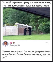 9127697_original.jpg