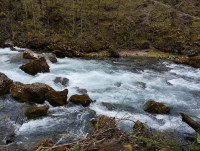 IMG_20260425_131816.jpg