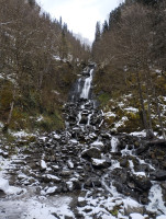 IMG_20260425_124356.jpg