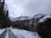 IMG_20260425_125143.jpg