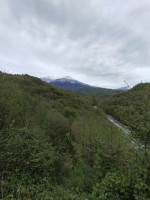 IMG_20260426_131256.jpg