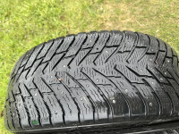 IMG_6374.jpeg