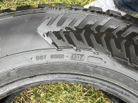 IMG_6376.jpeg