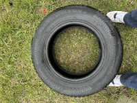 IMG_6377.jpeg