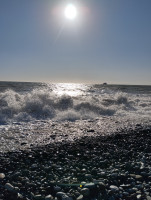 IMG_20260427_171232.jpg