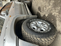 IMG_2274.jpeg