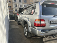IMG_2252.jpeg