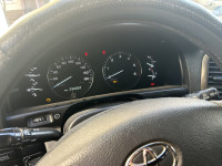 IMG_2257.jpeg