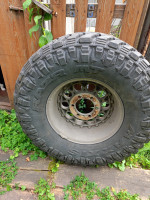 IMG20260713151718.jpg