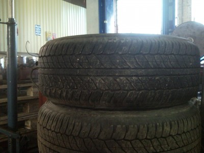SNC00177.jpg