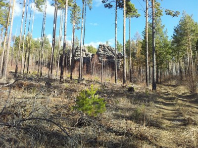 2011-10-09 16.37.31.jpg