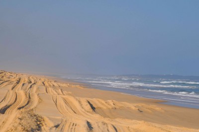 DSC_9562.jpg