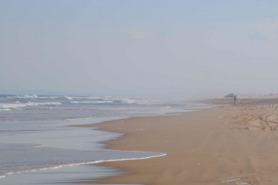 DSC_9561.jpg