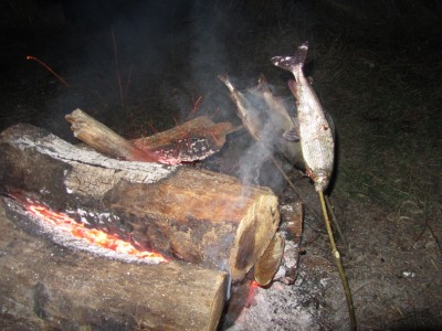 Хариусы.jpg