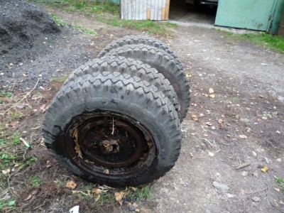 P1000243.JPG