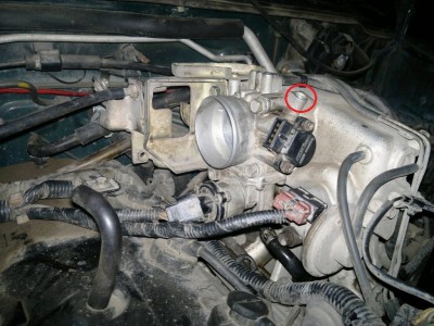 2011-11-03-064.jpg