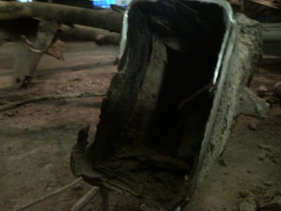 SNC00233.jpg