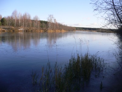P1100017.JPG