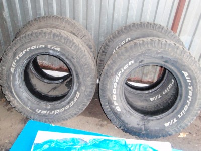 PB180896.JPG