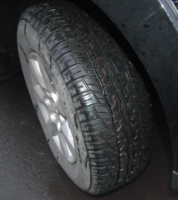 DSCF1434 - копия.JPG