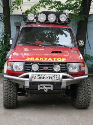 мохнатый.jpg