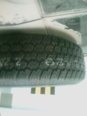 IMAG0162_thumb.jpg