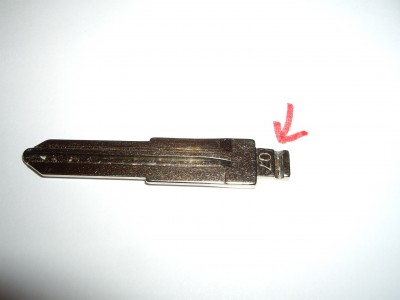 IMGP1550.JPG