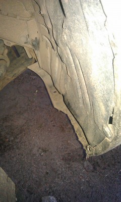 IMAG0038.jpg