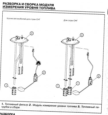 Scan2.jpg