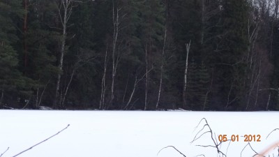 DSC00510.JPG
