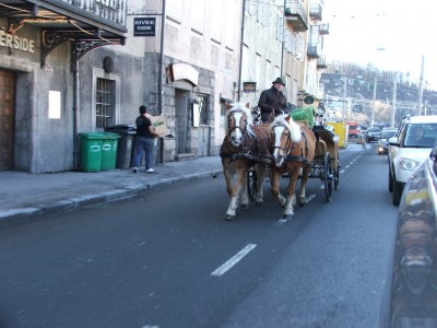 DSCF7224.JPG