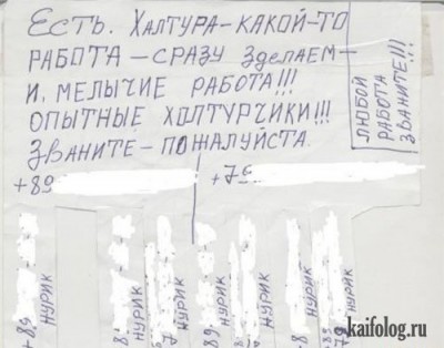 1313398518_015_2.jpg