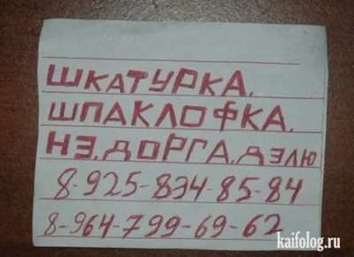1313398555_038_2.jpg