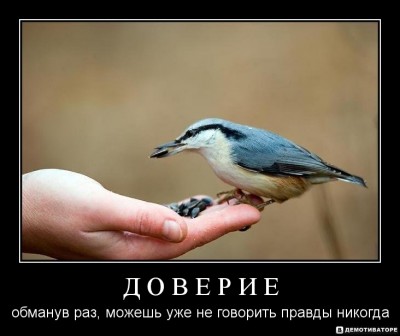 1302019406-d-o-v-e-r-i-e.jpg