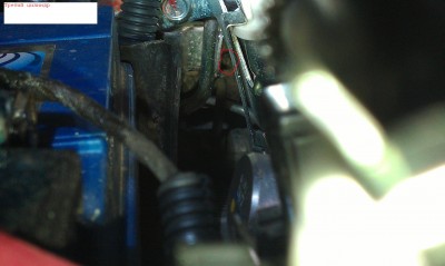 IMAG0143.jpg
