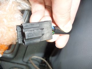 SDC10224.JPG
