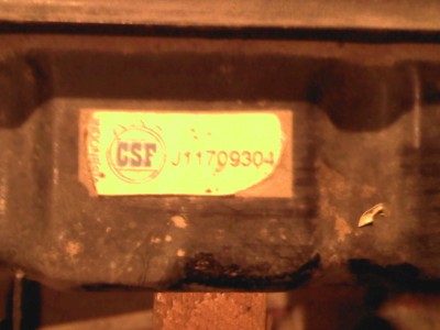 адиатор Мони  CSF J11709304.jpg