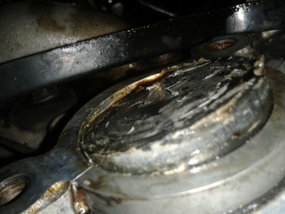 2012-02-21 00.21.25.jpg