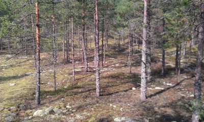 IMAG0172.jpg
