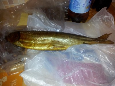 20120223_052912.jpg