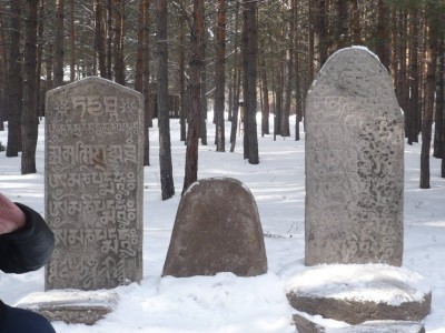 P1090155.jpg
