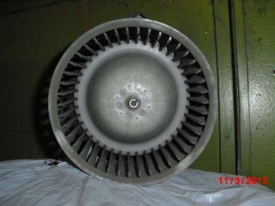 CIMG5219.jpg
