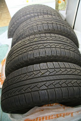 IMG_4198s.jpg