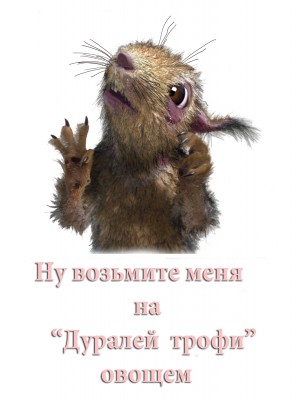 Belochka-2.jpg