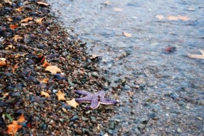 DSC_0241.JPG