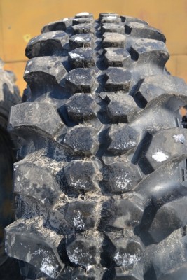 DSC_0216.JPG