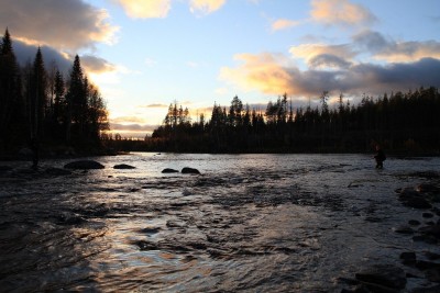 z_8e353072.jpg