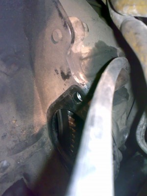 22032012039.jpg